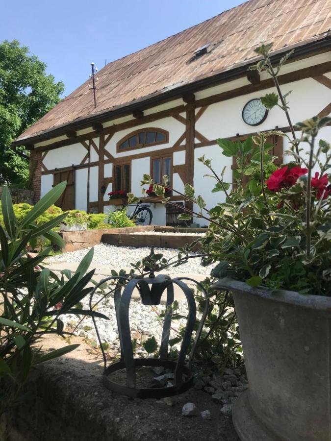 Apartamenty Sudeckie Nad Zalewem I Sosnówka Esterno foto