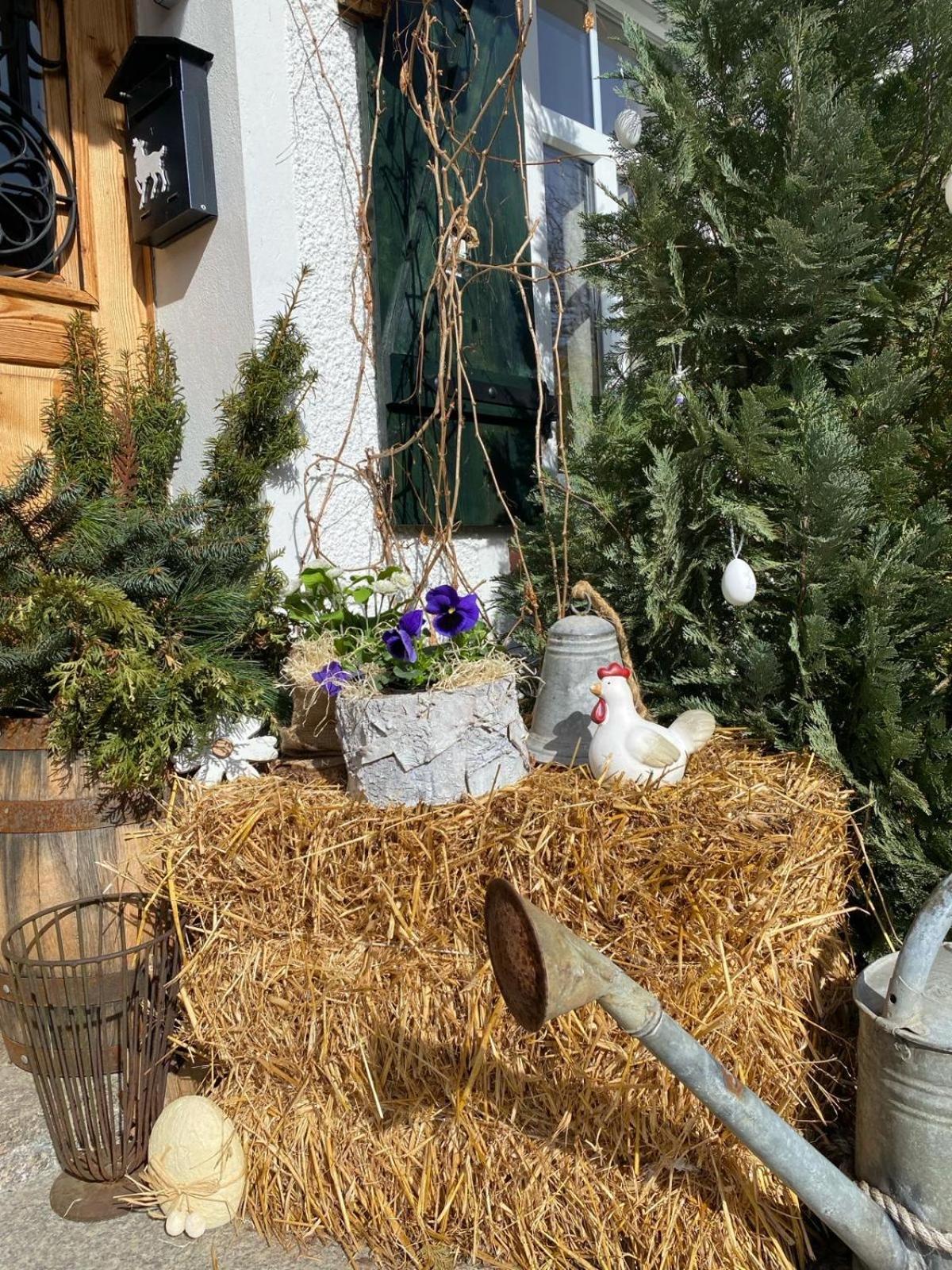 Apartamenty Sudeckie Nad Zalewem I Sosnówka Esterno foto